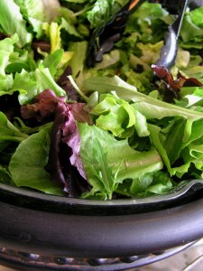 salad phase 1 south beach fod