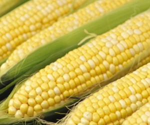 phase 2 south beach diet corn